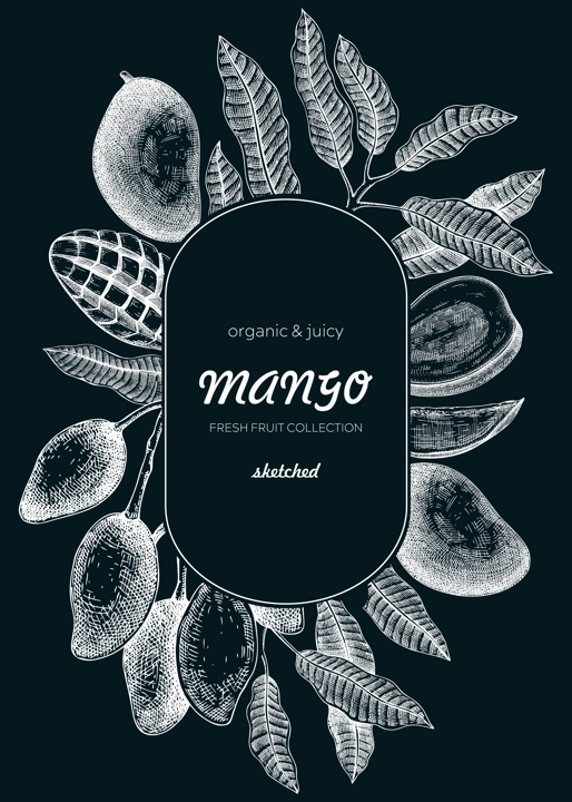Fruit design template on chalkboard. Realistic mango hand-drawn vector illustration. Exotic fruit, mango tree branches, leaves sketches. Vintage frame, packaging, Healthy food. Summer design element